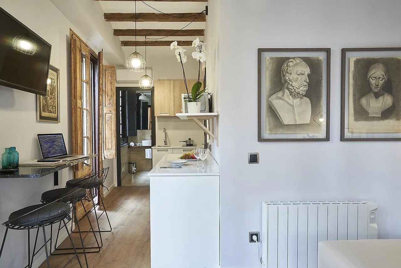 ברצלונה Ainb Gothic-Jaume I Apartments
