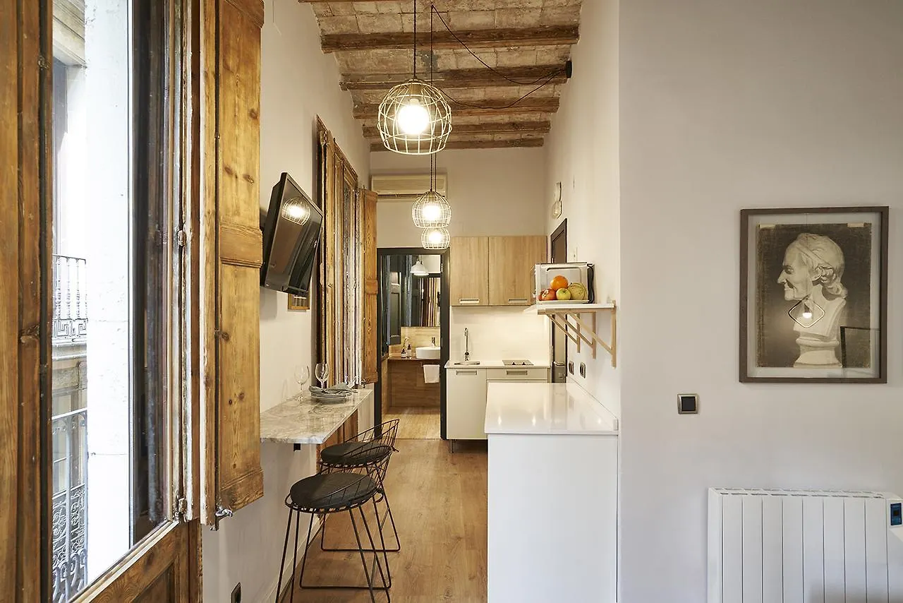 ברצלונה Ainb Gothic-Jaume I Apartments